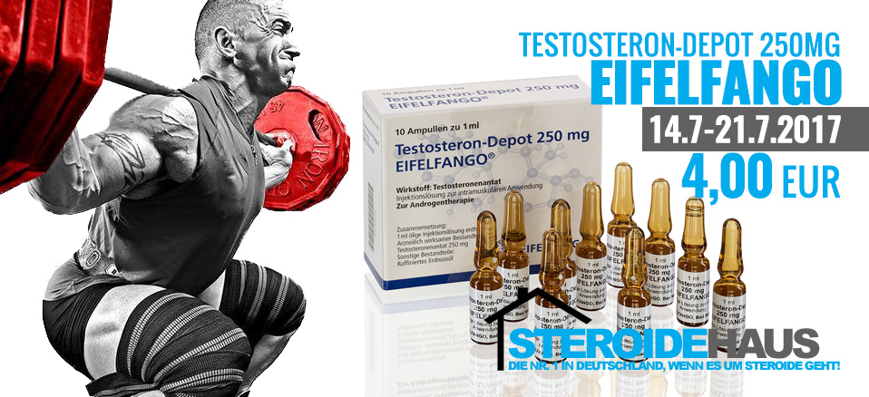 16.Testosteron depot 250mg von Eifelfango BIS ZU 25 RABATT