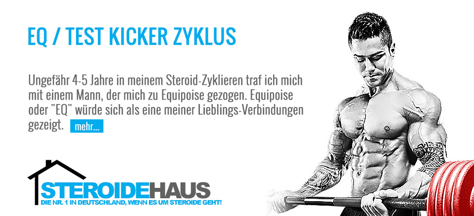 6EQ TEST KICKER ZYKLUS