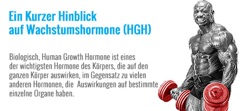 EIN_KURZER_HINBLICK_AUF_WACHSTUMSHORMONE__HGH.jpg