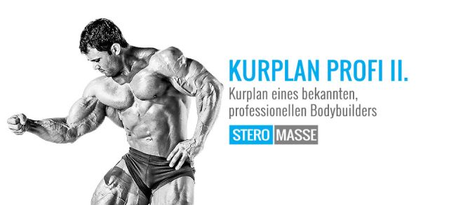 Kurplan Profi II