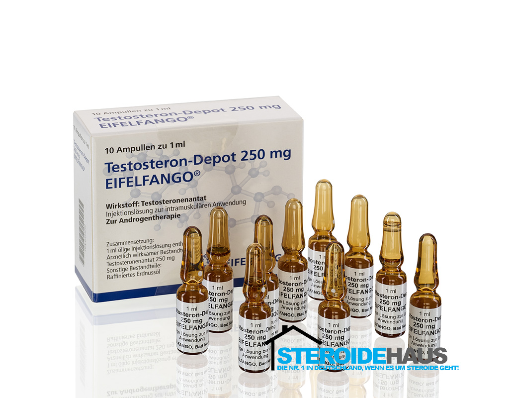 Testosteron Depot Eifelfango 1