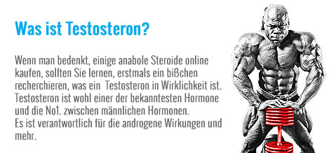 Was_ist_testosteron.jpg