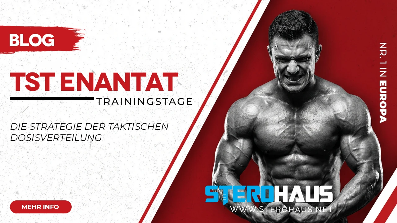 4.Die Wissenschaft hinter Testosteronmischungen Wie sie Muskelwachstum foêrdern und warum Ihre Muskeln Ihnen danken werden