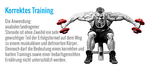 Korrektes Training